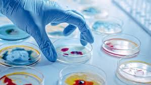 Microbiology Careers in India